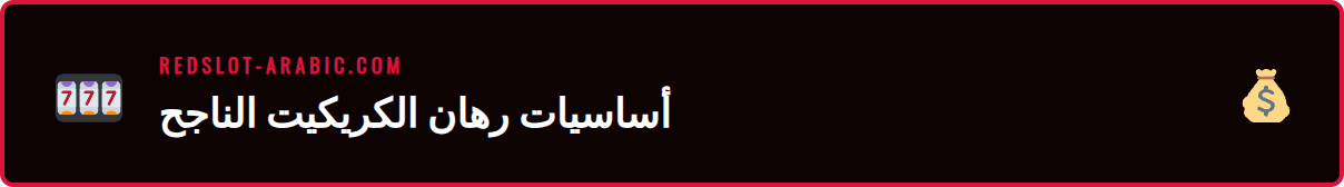 شاشة تعرض خيارات وأوزان رهانات الكريكيت المتنوعة في منصة ريدسلوت